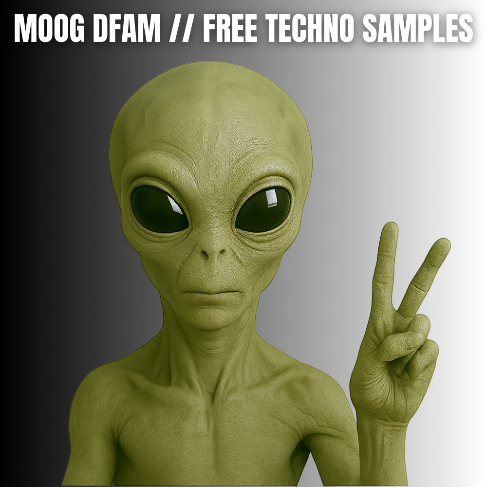 Moog DFAM // Free Techno Loops