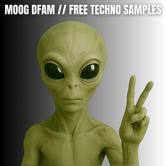 Moog DFAM // Free Techno Loops